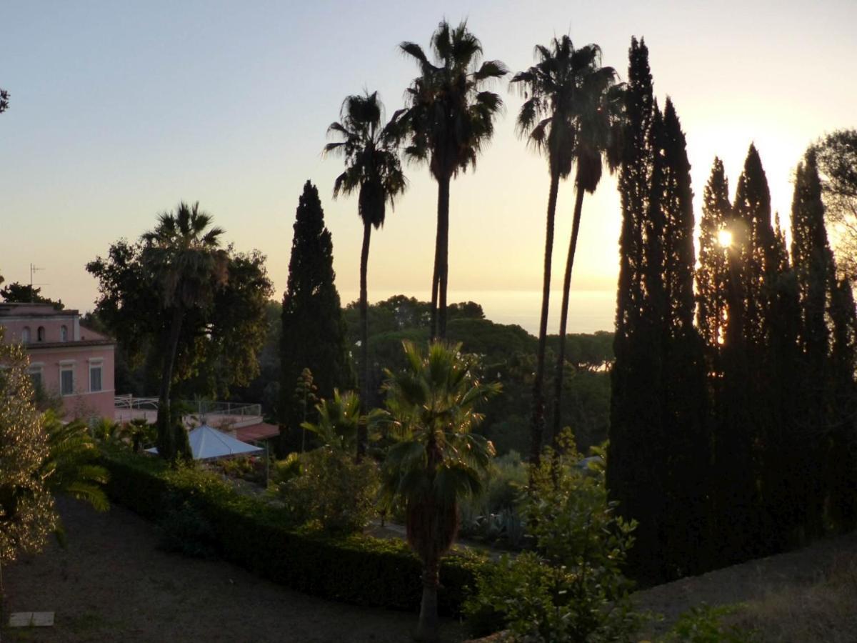 Villa Delle Palme - Goelba Capo D'arco Exterior foto